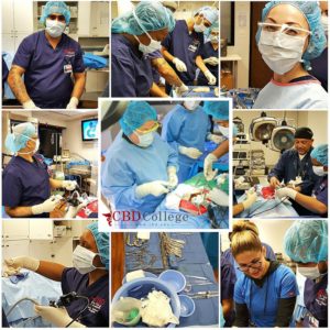 Surgical Technology Program - CBD College