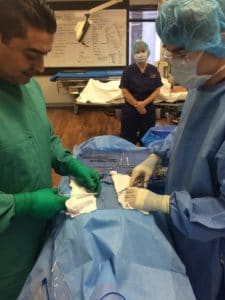 faculty spotlight albert magdaleno