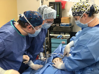 Stephanie Allen, director of the Surgical Technology Program at CBD College, in the operating room