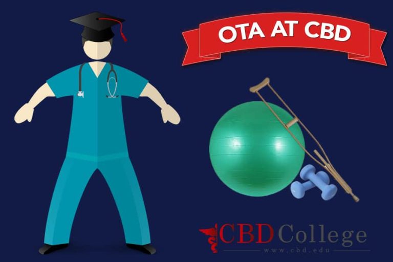 Infographic depicting OTA job salary and job outlook overview.